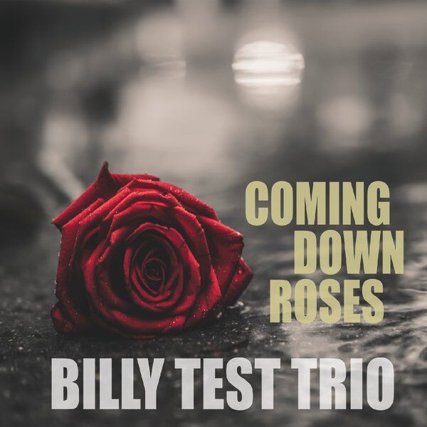 Cover art for Coming Down Roses